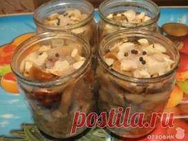 Одноклассники