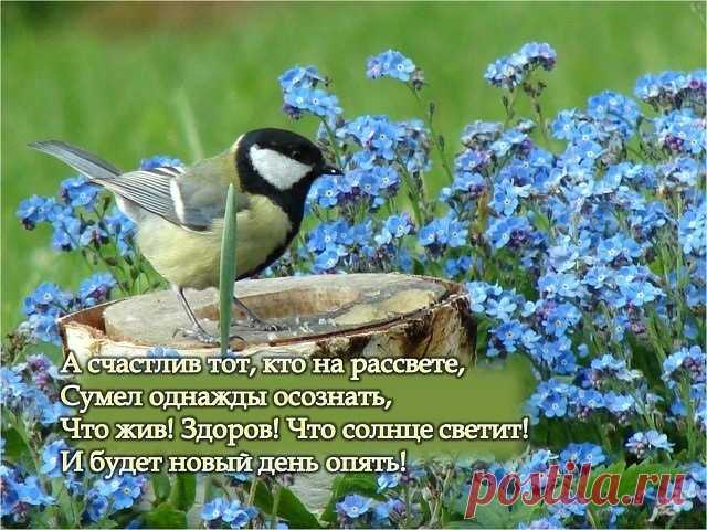 ВСЕМ, ВСЕМ !!
Не торопитесь жить! Живите долго, вкусно!
Смакуя каждый день и каждый его миг…

Желаю Счастья - оно никогда не мешает, Здоровья - его никогда не хватает, Удачи - она никогда не в тягость, Любви - она доставляет радость! Три чуда утра...лучше не придумать для любимых людей..
С добрым утром! Светлого Вам дня!