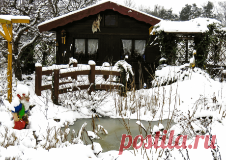 Календарь сезонных работ в саду: декабрь - Planetalsad