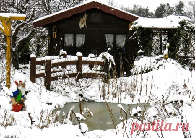 Календарь сезонных работ в саду: декабрь - Planetalsad