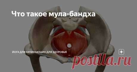 Что такое мула-бандха Статья автора «Йога для начинающих для здоровья» в Дзене ✍: Ощущаете ли вы дисгармонию в своей йогической практике или стремитесь укрепить мышцы тазового дна?