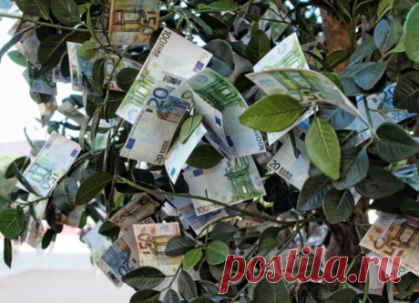 Деньги на деревьях или проделки моего отца У каждого человека свои особенные, теплые, трогательные воспоминания из детства, которые греют душу и заставляют улыбаться. Мои воспоминания связаны с