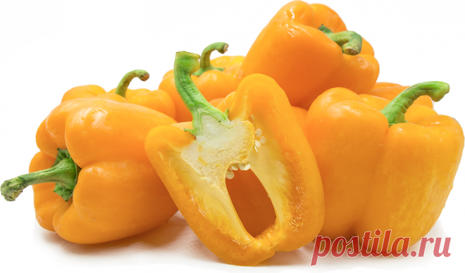 Разноцветный витамин: 5 причин включить в рацион болгарский перец осенью Болгарский перец – овощ, который ученые и диетологи из разных стран мира называют одним из самых важных продуктов в осеннем рационе. В частности, ученые называют перец настоящим чемпионом по количеству содержащихся в нем витаминов и различных микроэлементов, которые так необходимы организму в...