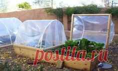 Winter covers