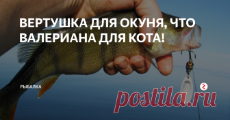 ВЕРТУШКА ДЛЯ ОКУНЯ, ЧТО ВАЛЕРИАНА ДЛЯ КОТА! Здравствуйте уважаемые рыболовы.  В данной статье я расскажу вам о ловле окуня на вращающиеся блёсны, или, как их называют в простонародье, вертушки.
Вертушки по праву считаются одними из самых уловистых приманок для ловли окуня.
Вертушка хорошо имитирует небольшую рыбёшку (малька).
Качественная вращающаяся блесна для ловли окуня должна обладать быстрой игрой, то есть лепесток приманки должен вращ