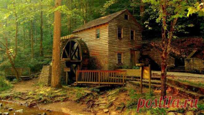 (+1) тема - Самые красивые дома в лесу | Роскошь и уют