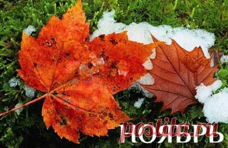 Вот и ноябрь крадется холодным дыханьем,
В небо он бросит пепла остывшего горсть.
Вместо дождей увидим снежинок порханье,
Звали иль нет, придет он – непрошенный гость....