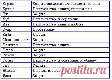 #руны#ставы#гадания#ритуал#эзотерика
Выбор дерева для рунических работ