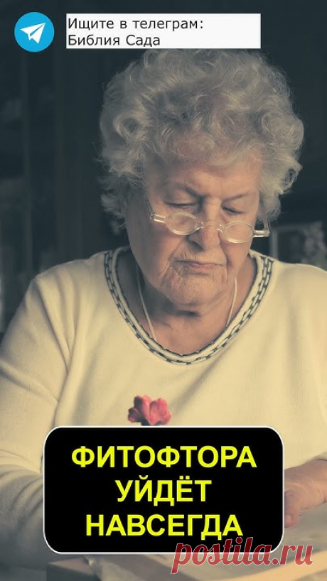 В этом видео вы узнаете о простом и рабочем способе борьбы с фитофторой на помидорах. Это безопасное, а главное дешевое средство. Им пользовались наши бабушк...