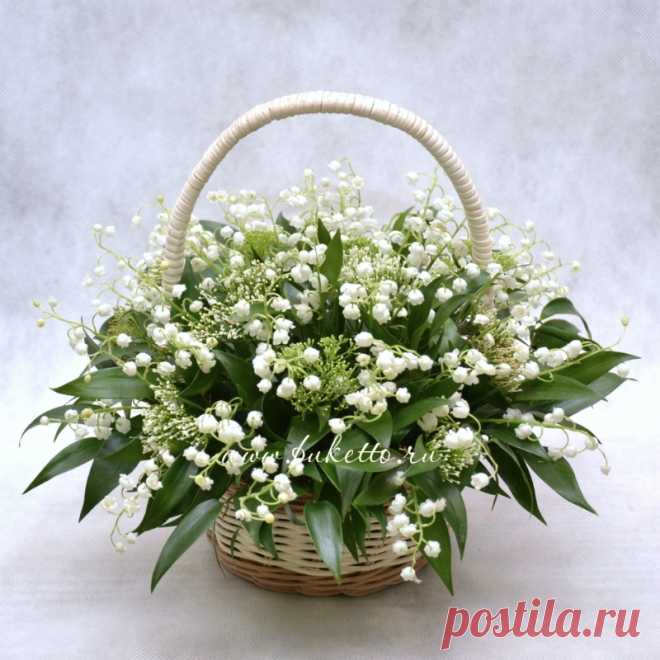 Цветы | Записи в рубрике Цветы | Дневник Сильвина