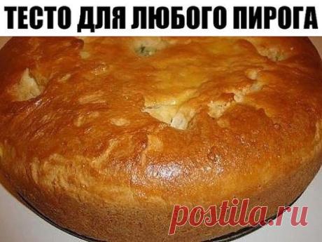 Тесто для любого пирога
Ингредиенты:
3,5 стакана муки,
1 стакан кефира,
200 гр. маргарина,
1 яйцо,
сода - 1 ч. ложка,
яйцо для смазки верха пирога.
Способ приготовления:
Маргарин натереть на терке, добавить яйцо, соду, кефир, муку. Вымесить тесто и положить в холодильник примерно на 1 час.
Затем раскатываем пласт, складываем вдвое, раскатываем, еще раз вдвое (наподобие слоеного).
Выкладываем начинку: мясной фарш + картошка, либо любые сладкие начинки, все зависит от вашей фантазии и вкуса.
Зак