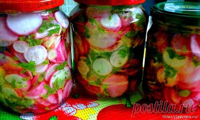 Редис консервированный 8 рецептов