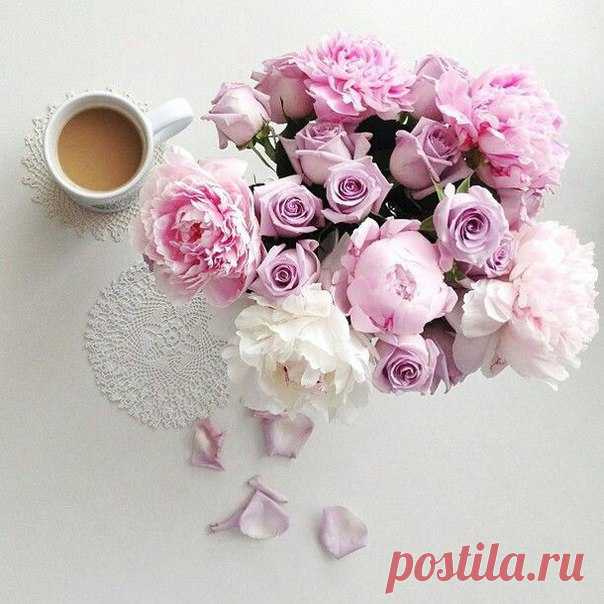 Доброе утро! Нежных вам выходных!