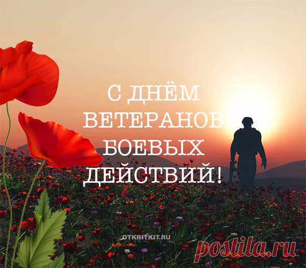 Ветеран ты действий боевых,
Мы тобой гордимся, это правда,
Пусть не заслужил наград больших,
Благодарность — лучшая награда.
