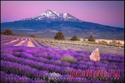 "чИтАй" только не "пЛаЧь'' – Papin Papinyan добавил фотографию в альбом ВОКРУГ СВЕТА