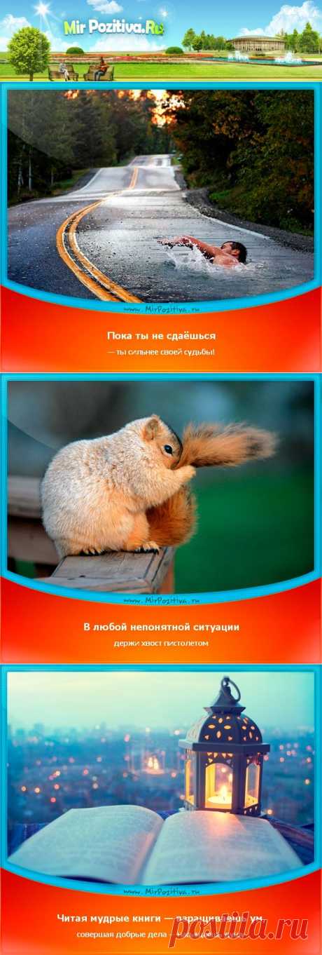 Позитивчики Недели (смотреть фото)