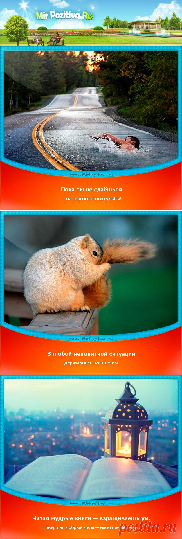 Позитивчики Недели (смотреть фото)