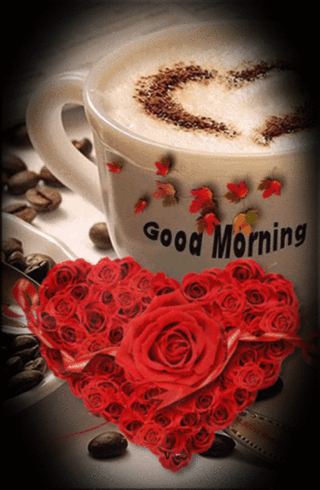 10 fresh good morning gifs and good morning quotes for the day.