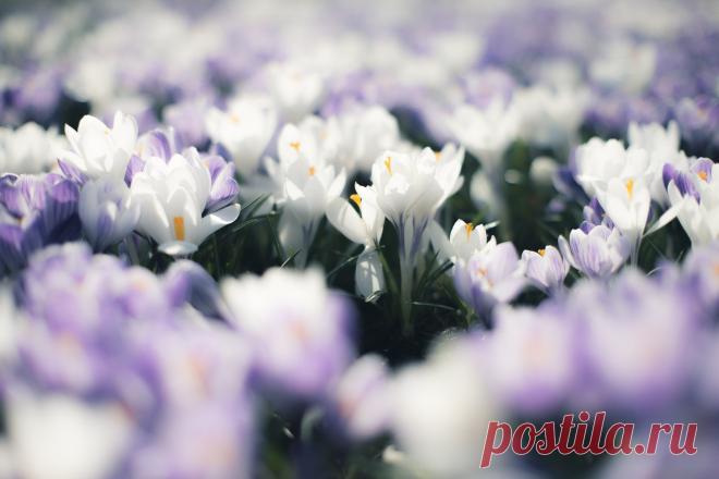 Фото Никита Сухоруков