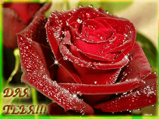 Музыкальная открытка "С наилучшими пожеланиями | В гостях у тамады!