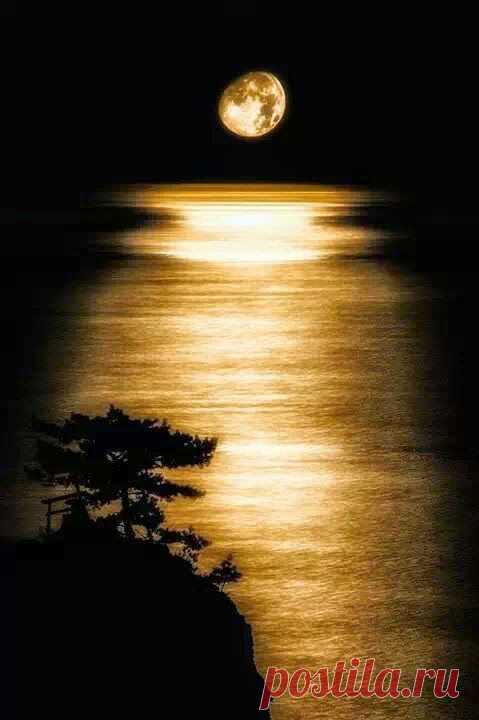 Google+