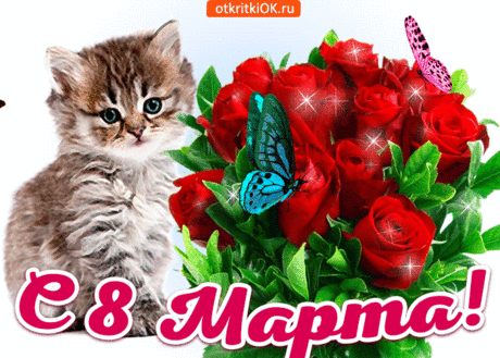 А вот и 8 марта, всех женщин поздравляю - Плейкасты