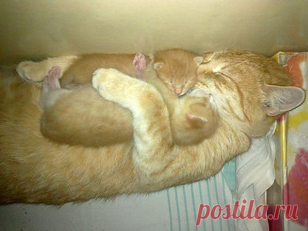 Все мои со мной!