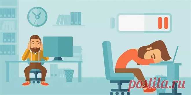 Как выглядит идеальный день, который соответствует вашему хронотипу Согласно эксперту-сомнологу Майклу Бреусу (Michael Breus), разобравшись в своем типе сна, можно повысить эффективность в работе и в разы меньше уставать. На основе наблюдений за пациентами он выделил 4 хронотипа: «медведи», «львы», «волки» и «дельфины». И рассказал, что если вы чувствуете себя уставшим, вам сложно вставать утром, а работа не идет, то, вероятно, вы не следуете распорядку дня своего хронотип...