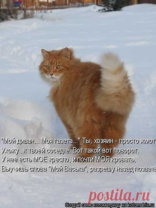Пойду прогуляюсь!