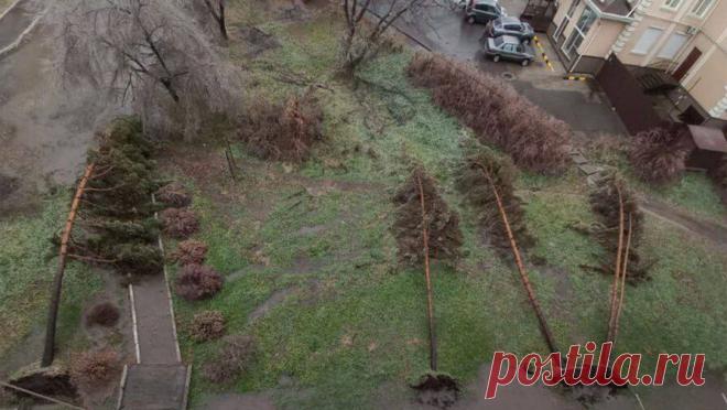 В семи районах Приморского края зафиксировали отключения света. В семи районах Приморского края из-за циклона зафиксировано отключение электроэнергии. Об этом сообщает РИА Новости со ссылкой на представителя Приморских электрических сетей. Южный циклон принес сильный дождь и снег в регион. Так, в ...