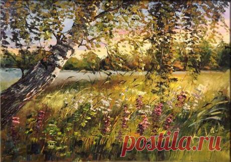 13240015_1096001810438534_4801612815181967804_n.jpg (800×561)