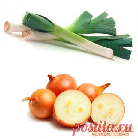 Чем можно заменить лук-порей