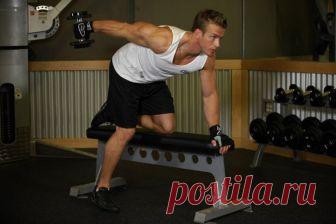 Домашняя тренировка спины Практически у всех мужчин есть дурная привычка, пренебрегать тем, чего они не видят. В зеркале хорошо видно наши накачанные бицепсы, мускулистую грудь и кубики пресса, но совсем не видно спину. Дело