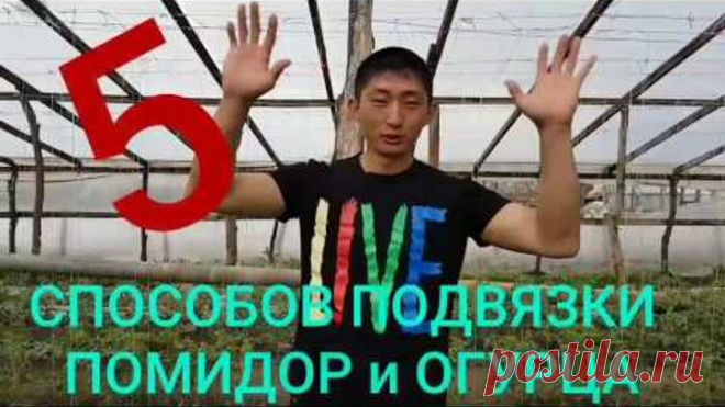 5 СПОСОБОВ ПОДВЯЗКИ ПОМИДОР И ОГУРЦА. Детально и НАГЛЯДНО показываю. Ничего сложного.😀😀😀