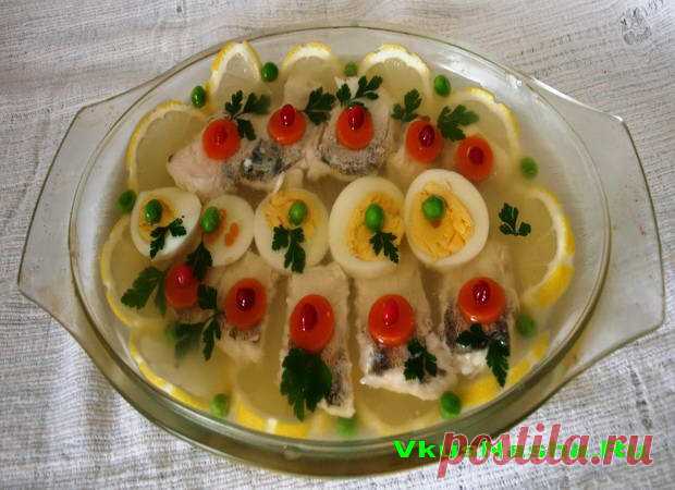 Нежное заливное из рыбы | Рецепты вкусных блюд Недавно Вкусняша рассказывала про вкусное заливное из судака, сегодня расскажет об еще одном вкусном и нежном заливном.