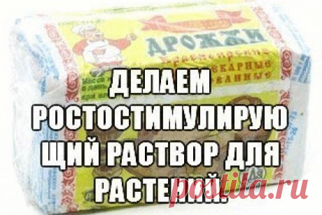 (49) Одноклассники