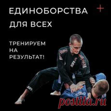 Единоборства в Екатеринбурге занятия в спортивном клубе для детей и взрослых.