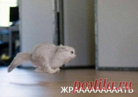 Мой Мир@Mail.Ru