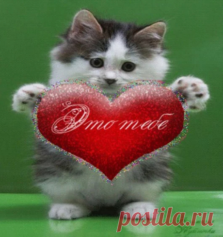 Google+