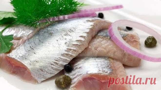 Как солить селедку/скумбрию в домашних условия вкусно Маринованная селедка Селедка в пряном рассоле
