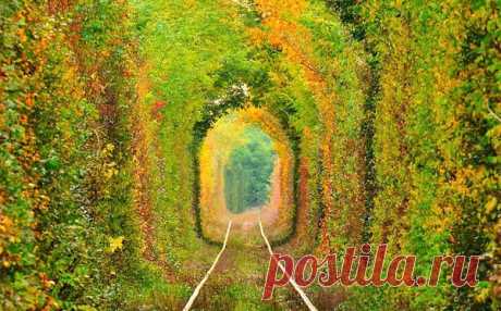 Интересные новости