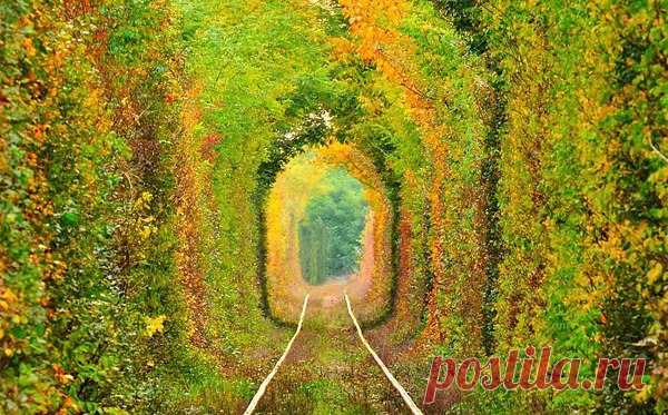 Интересные новости