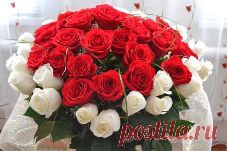 getImage (1024×683)