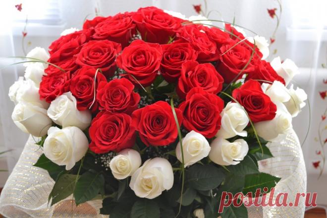 getImage (1024×683)