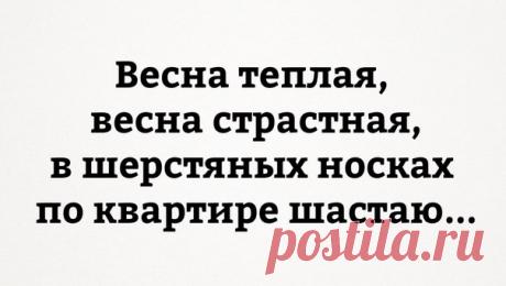 Алёна Кравченко