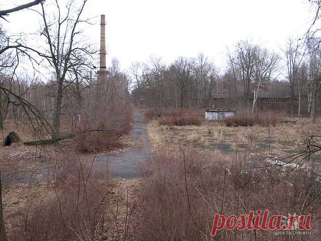 843-й Гвардейский орденов Кутузова и А.Невского САП - в/ч пп 58390