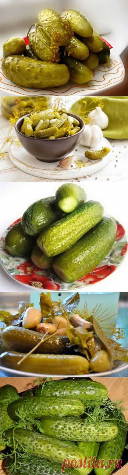 Засолка огурцов