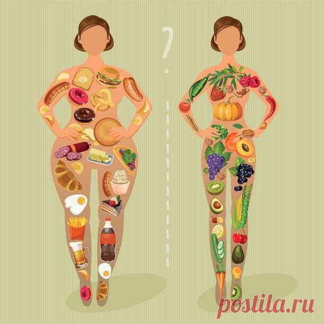 Диетологи назвали 7 самых распространенных ошибок людей, которые хотят похудеть