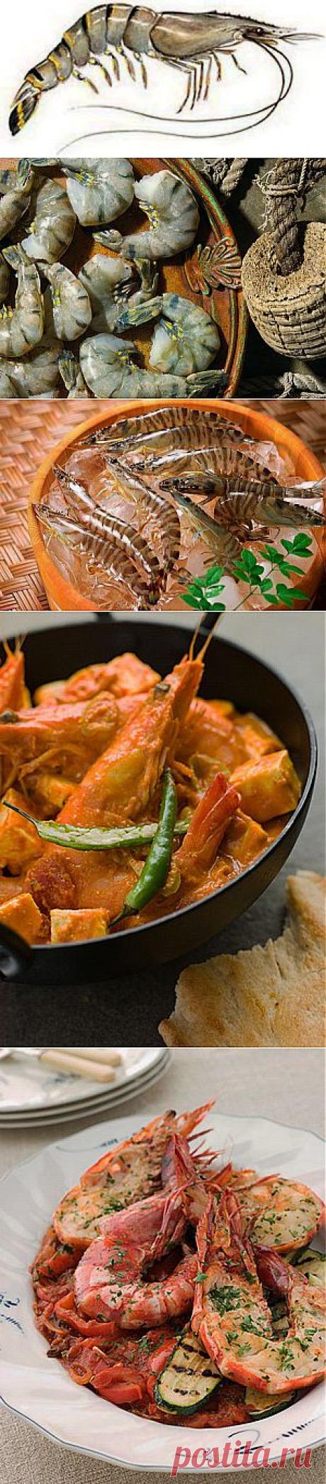 Тигровые креветки - как сварить и как пожарить вкусно -