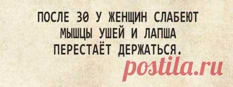 Убойные шутки для настроения!
